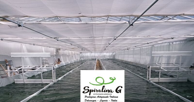 Dove comprare la spirulina di alta qualità?