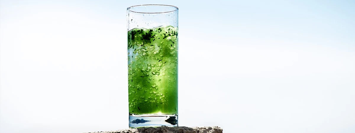 Colorare naturalmente i cibi con la Spirulina G
