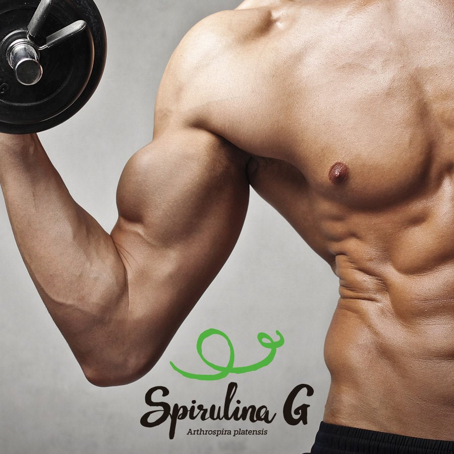 Composizione Nutrizionale della Spirulina: cosa contiene la spirulina