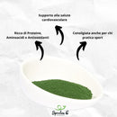 Spirulina in polvere